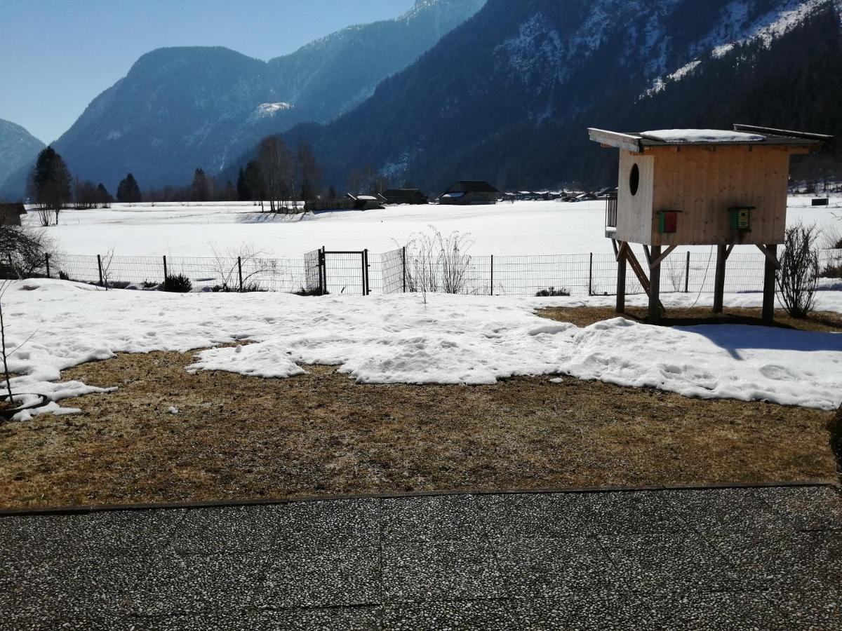 2 Zimmerwohnung Mit Kueche U. Bad Appartement Lofer